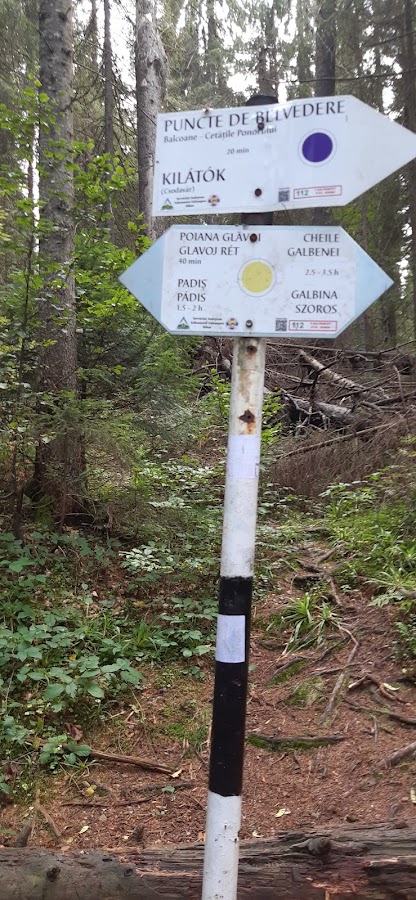 Fotografie a Traseului Punct Galben