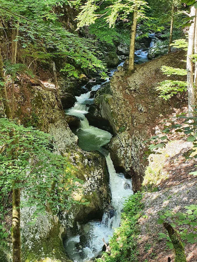 Fotografie de Yellow Dot Trail