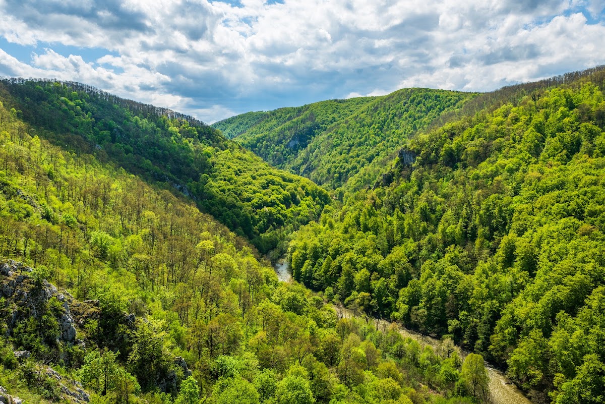 Photo of Defileul Crișului Repede