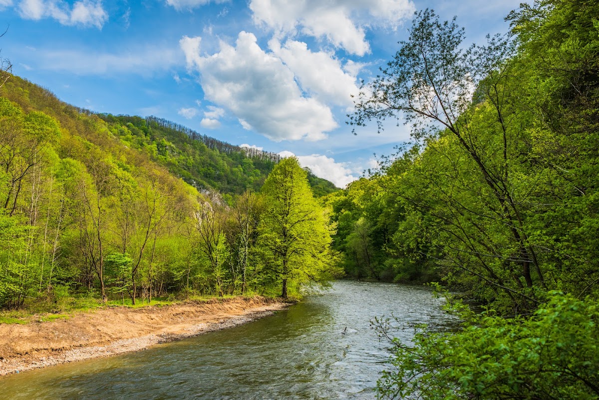 Foto von Defileul Crișului Repede