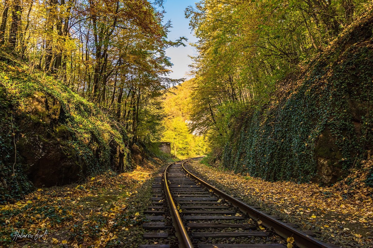 Foto von Defileul Crișului Repede