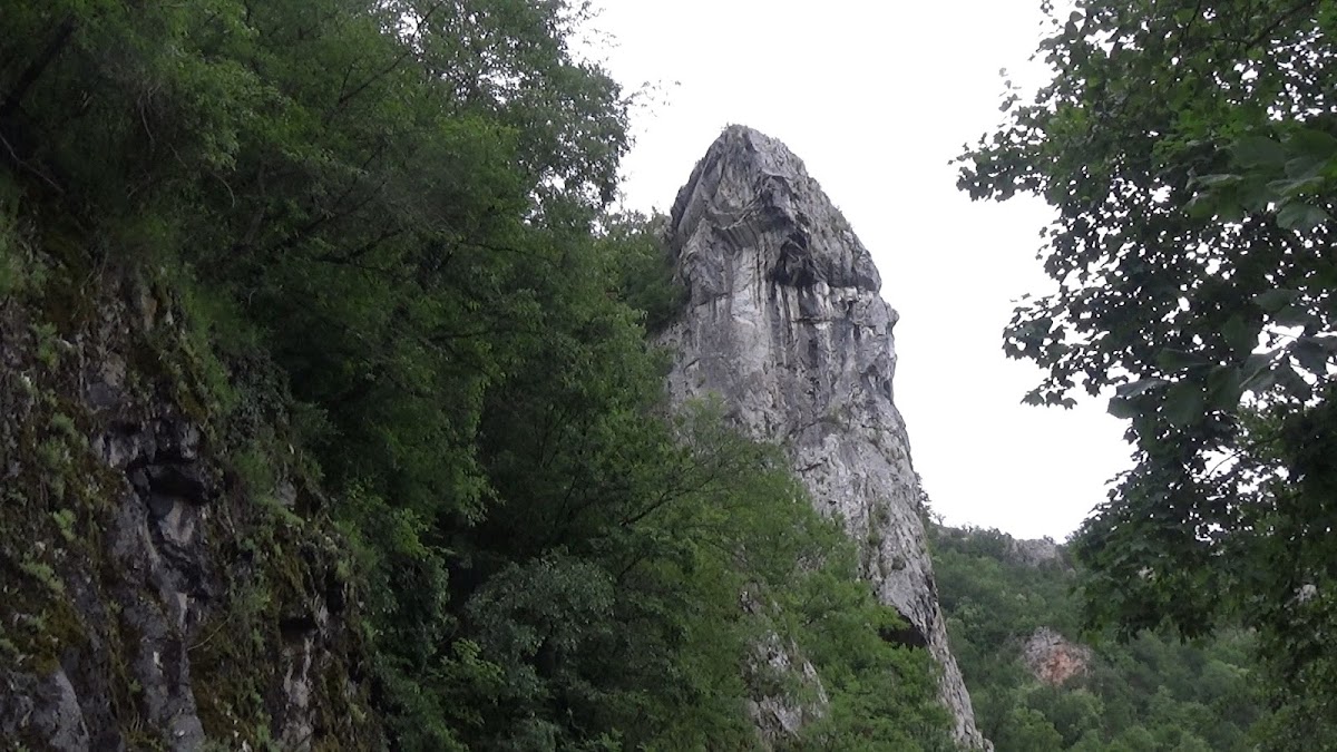 Fotografie de Belvedere Stanul Stupului