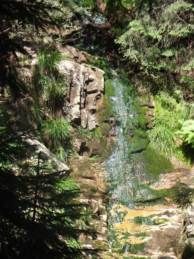 Foto di Groapa Ruginoasa - Valea Seacă