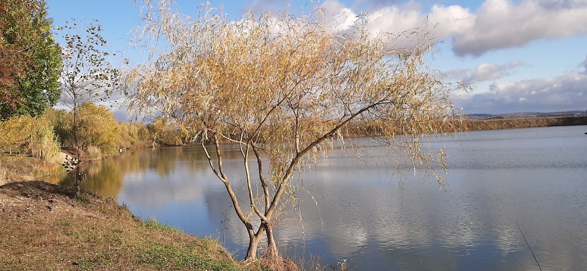 Fotografie de Lacul La Noroc