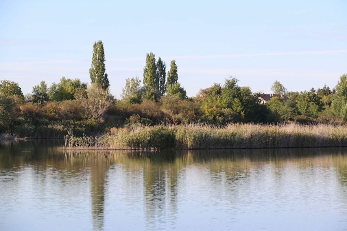 Foto di Lacul Bors