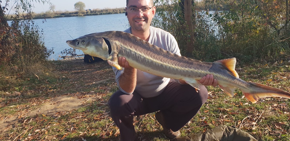 Foto di Lacul Bors
