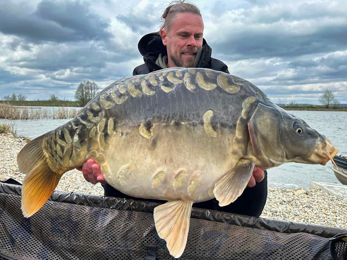 Photo de Utopik Carp Lake
