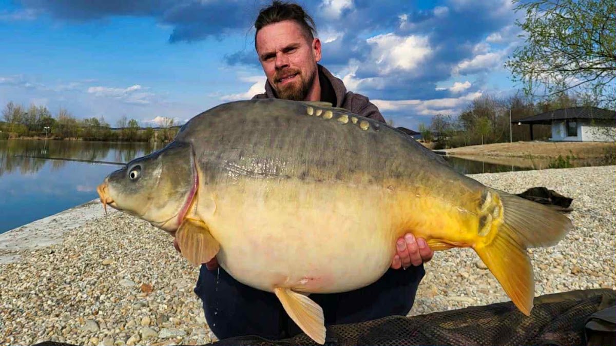 Photo de Utopik Carp Lake