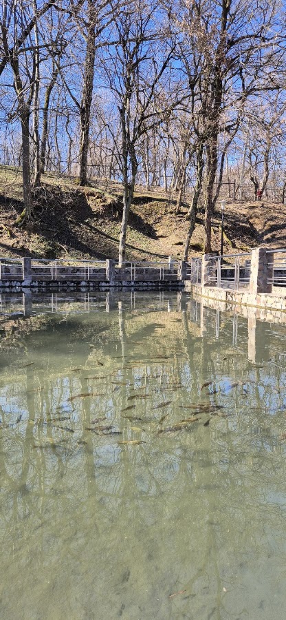 Photo de Lacul cu Nuferi