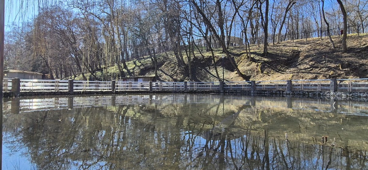 Photo de Lacul cu Nuferi