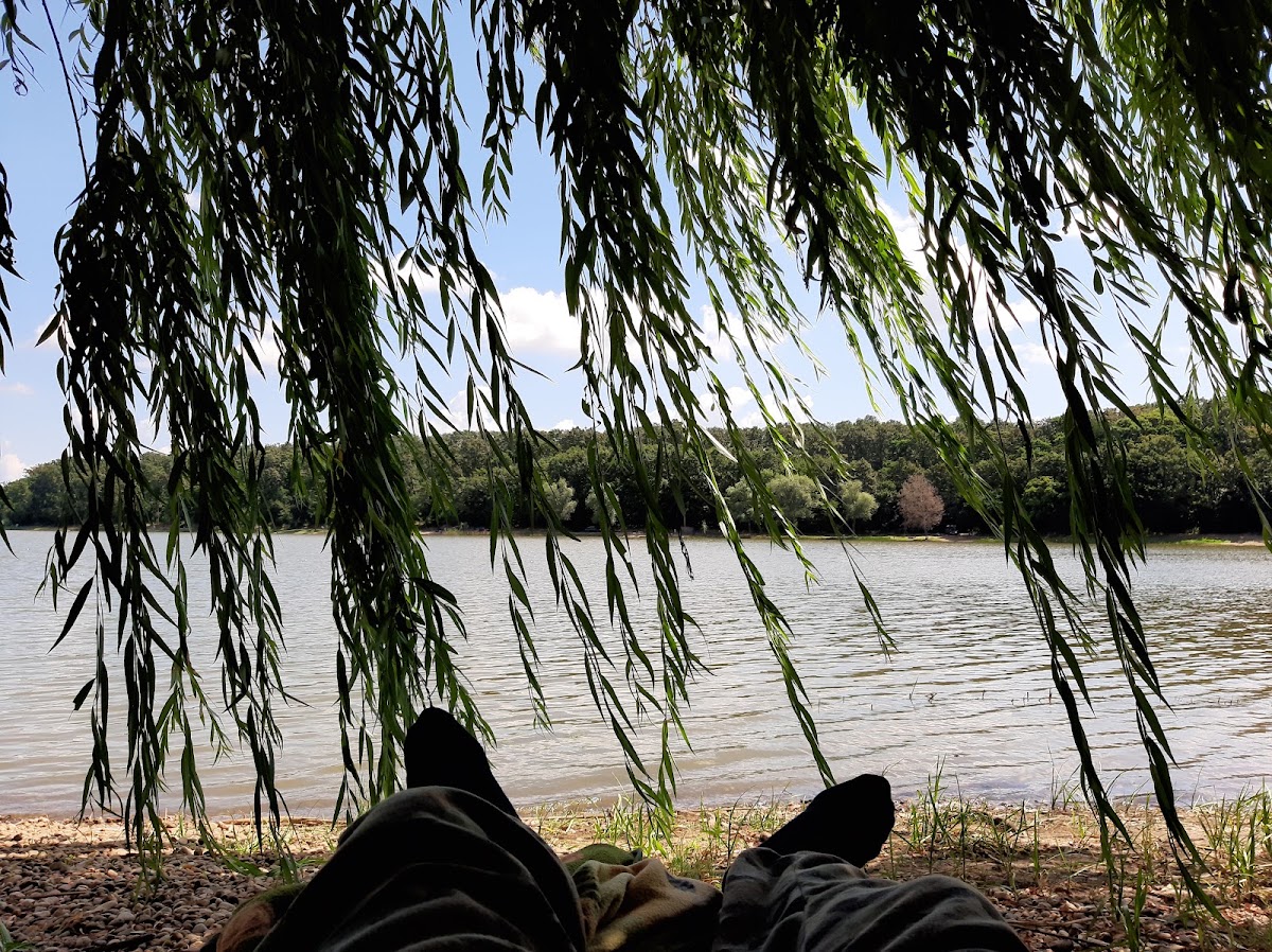 Photo de Lacul Vițeilor