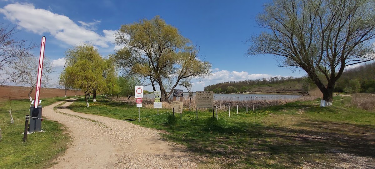 Photo de Lacul Vițeilor