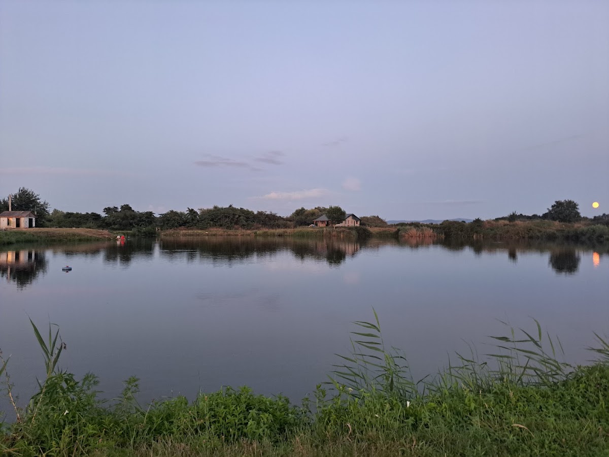 Photo of Balta de pescuit din Tileagd