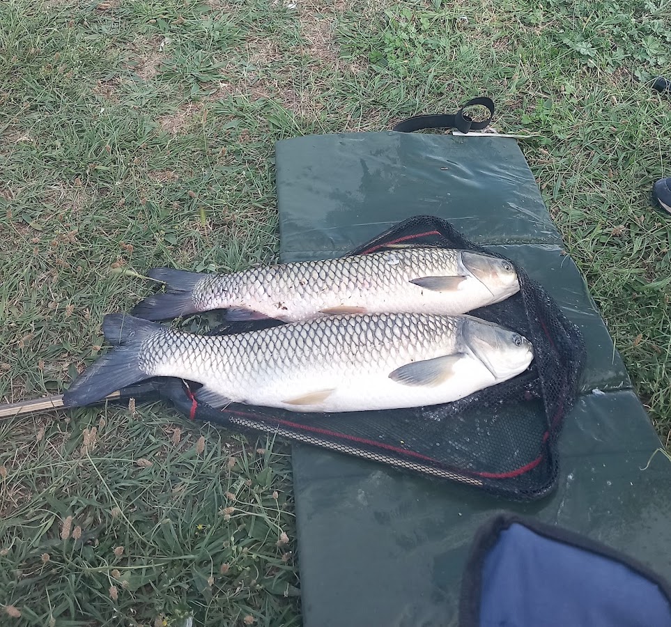 Foto von Balta de pescuit din Tileagd