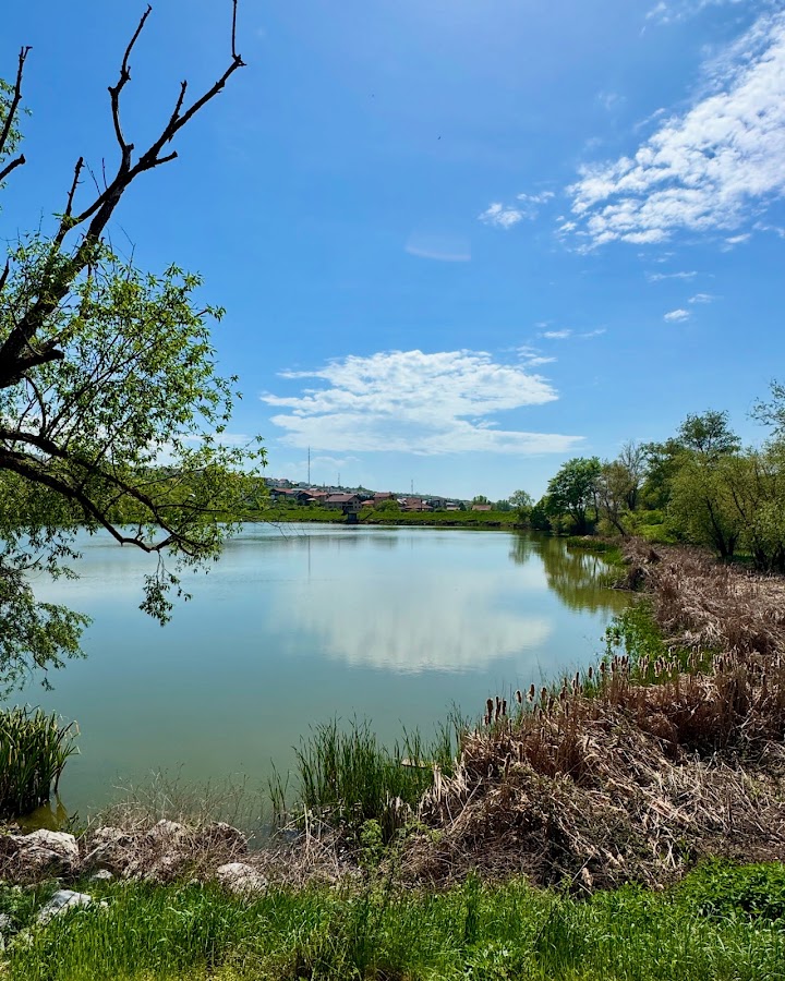 Photo de Lacul Paleu