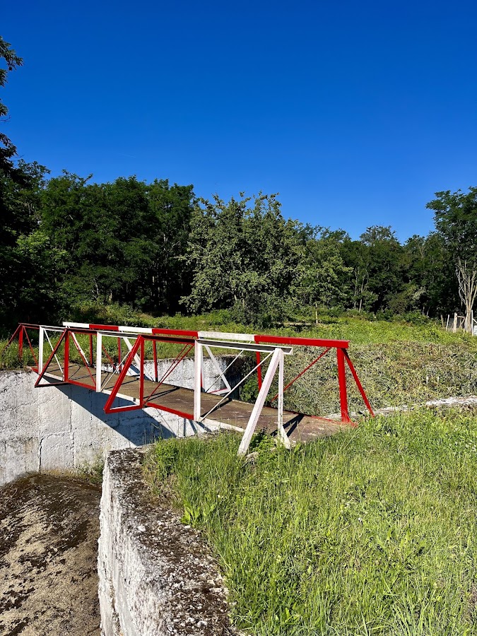 Photo de Lacul Paleu
