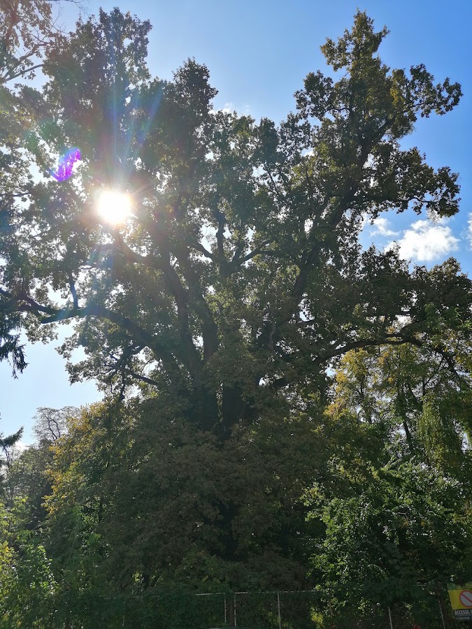Photo of Rezervatia Naturala "Paraul Peta"