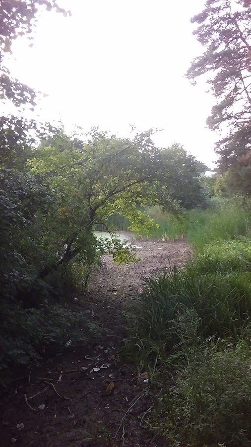 Foto di Rezervatia Naturala "Paraul Peta"