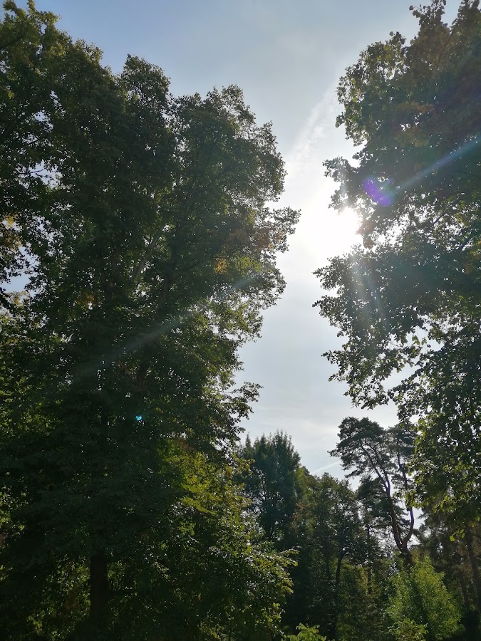 Foto di Rezervatia Naturala "Paraul Peta"