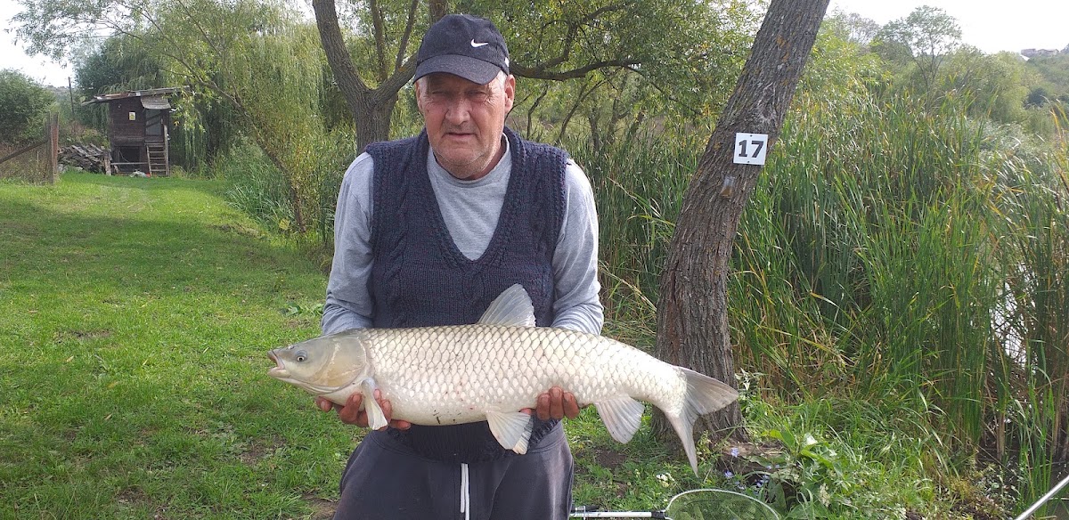 Photo de Săldăbagiu