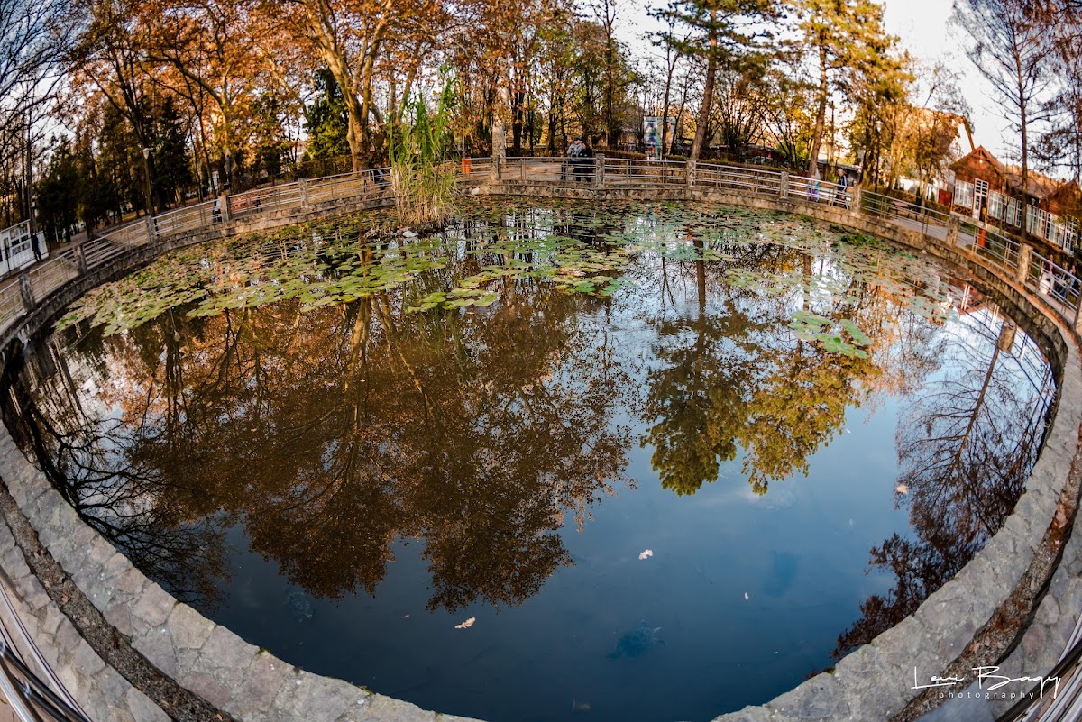 Fotografie de Lacul cu Nuferi