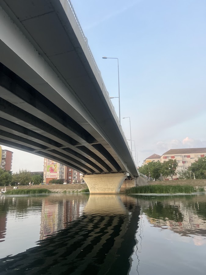 Foto di La lebede