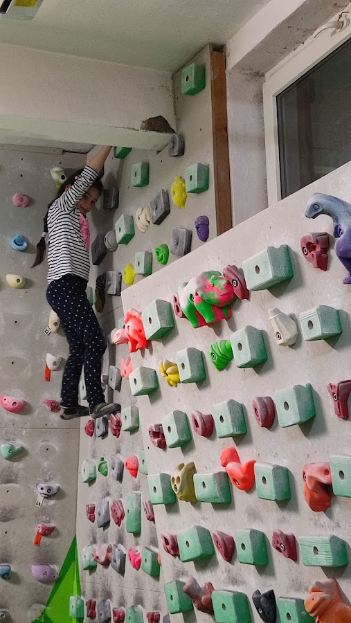 Photo of Gecko Climb