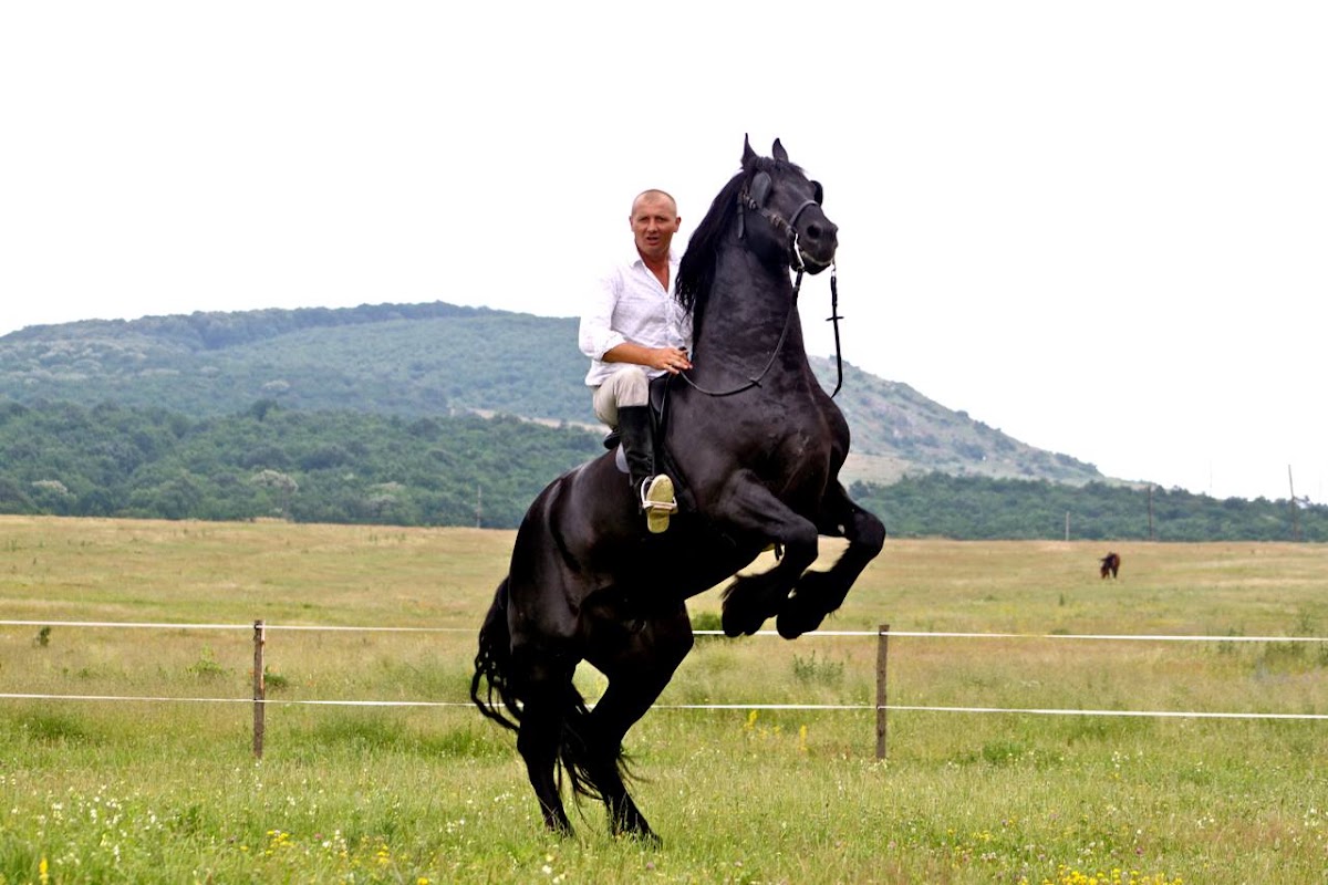 Foto von Il Cavallino Baile Felix