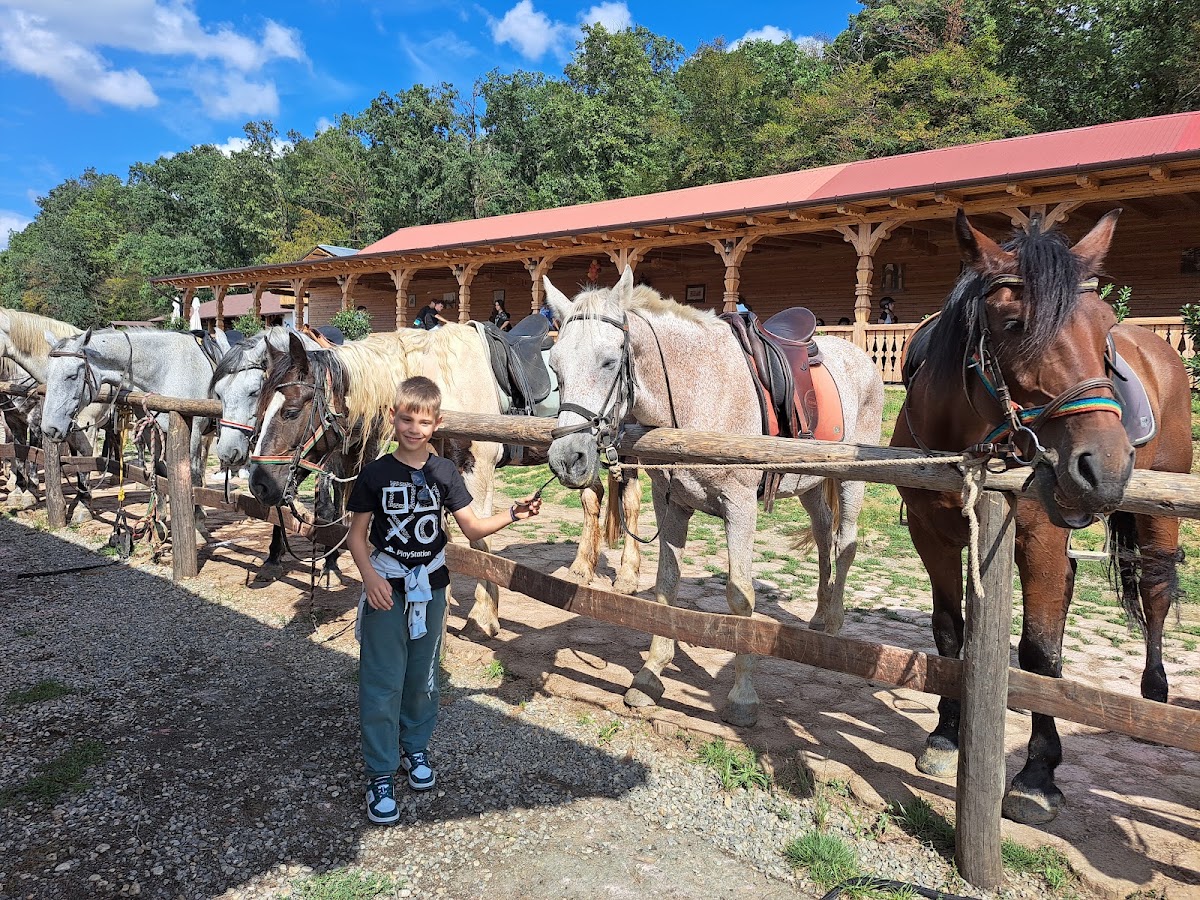 Foto von Il Cavallino Baile Felix