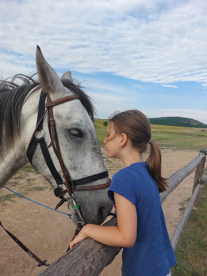 Foto von Il Cavallino Baile Felix