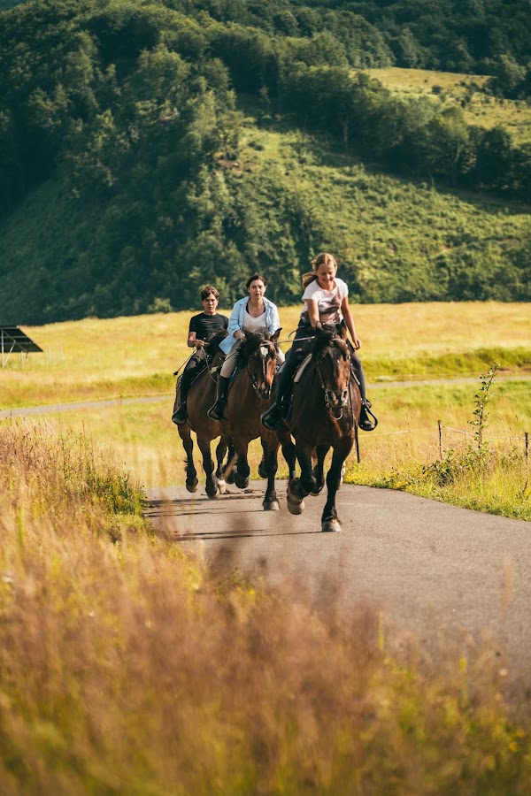 Photo of Free Horses Ranch - La caii liberi