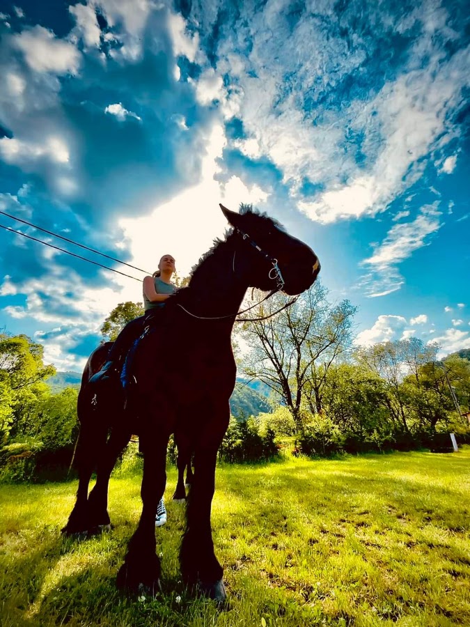 Photo of Free Horses Ranch - La caii liberi