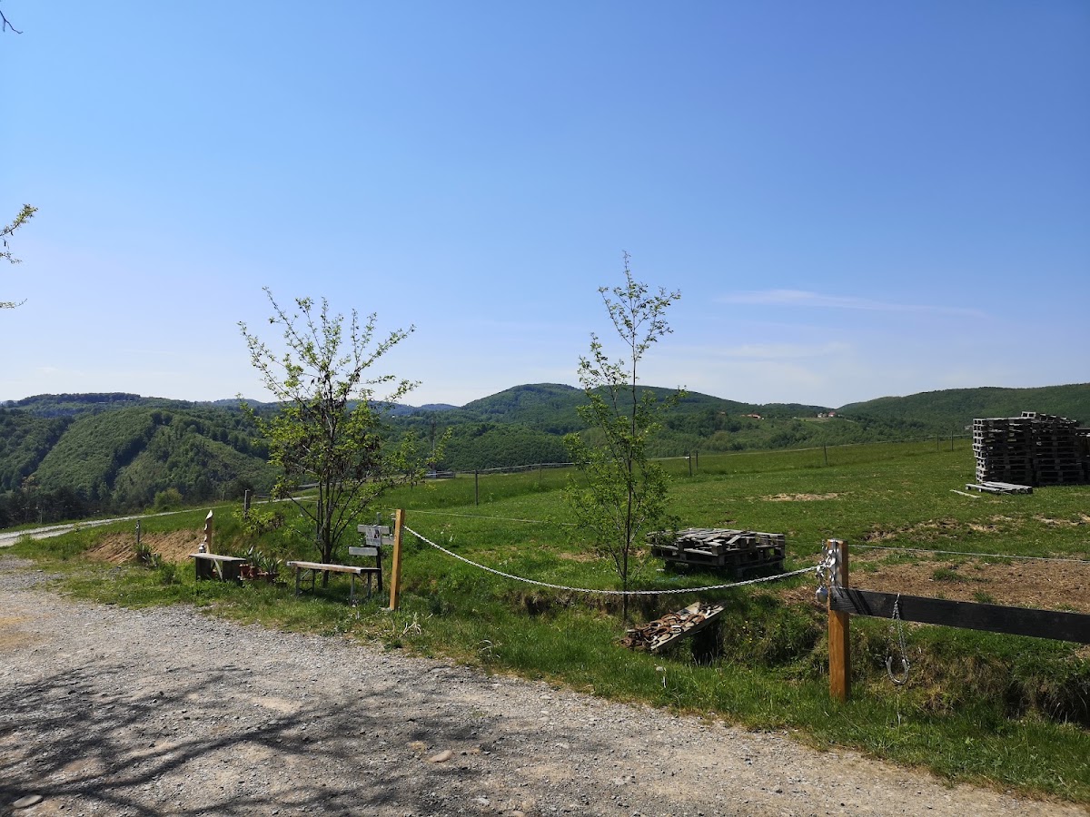 Photo of Free Horses Ranch - La caii liberi