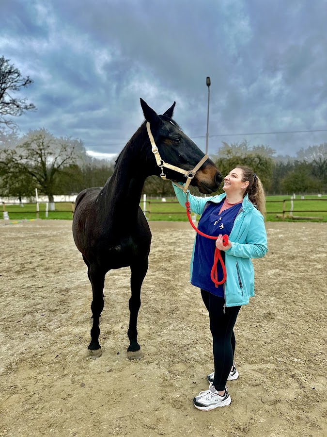 Photo de Paradis des Chevaux