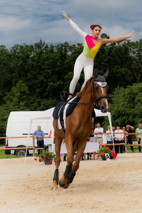 Photo de Horse Heaven