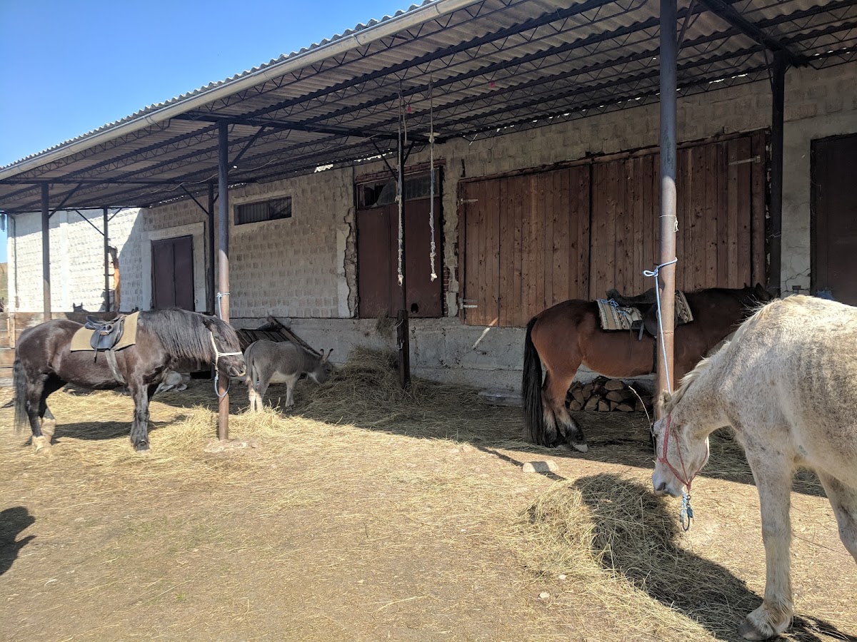 Photo of Kalota Lovarda - Echitatie Calata Cluj