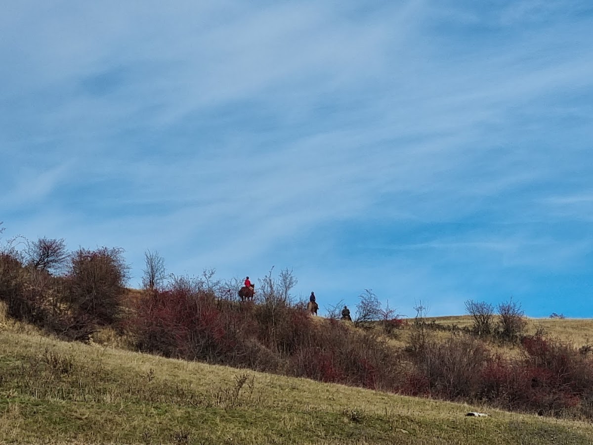 Photo of Kalota Lovarda - Echitatie Calata Cluj