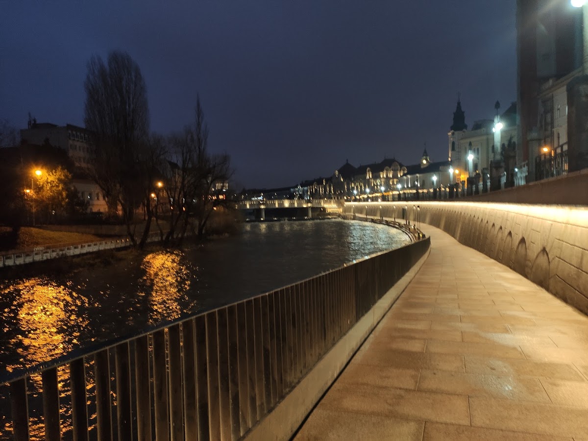Photo de la rive du Crișul Repede