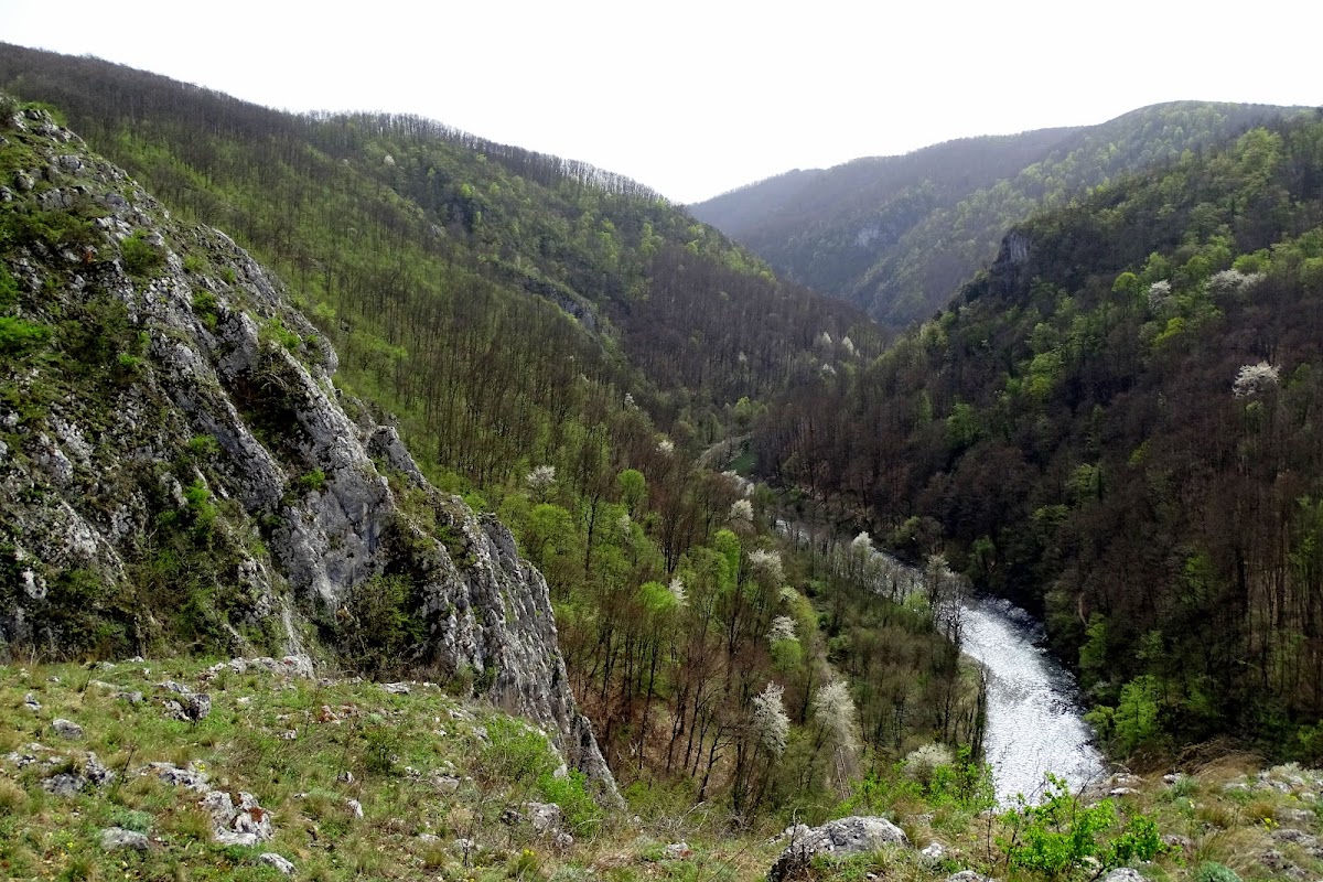 Photo de Vârful Stanului, Vadu-Crişului, Bihor