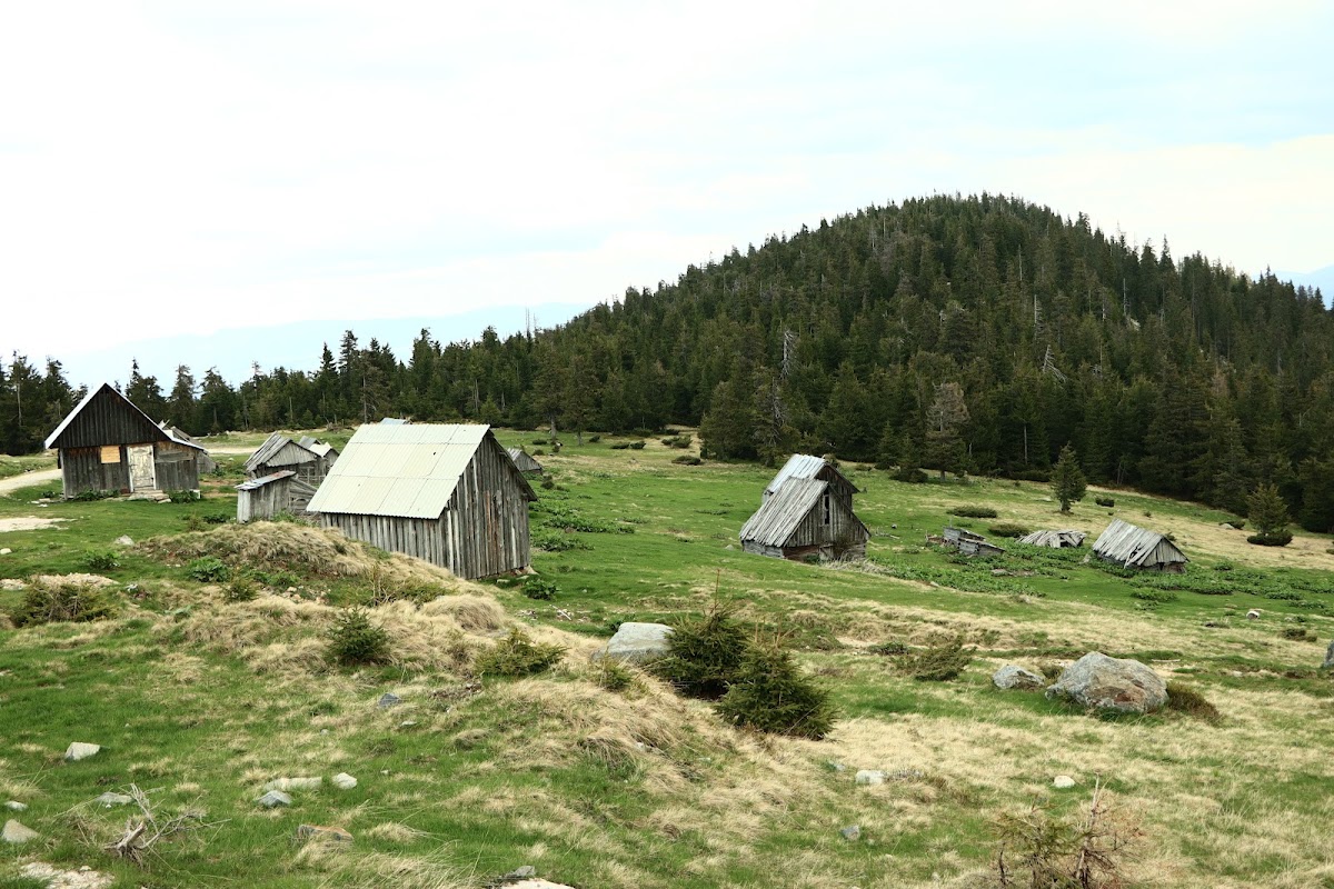 Foto von Valea Cepelor