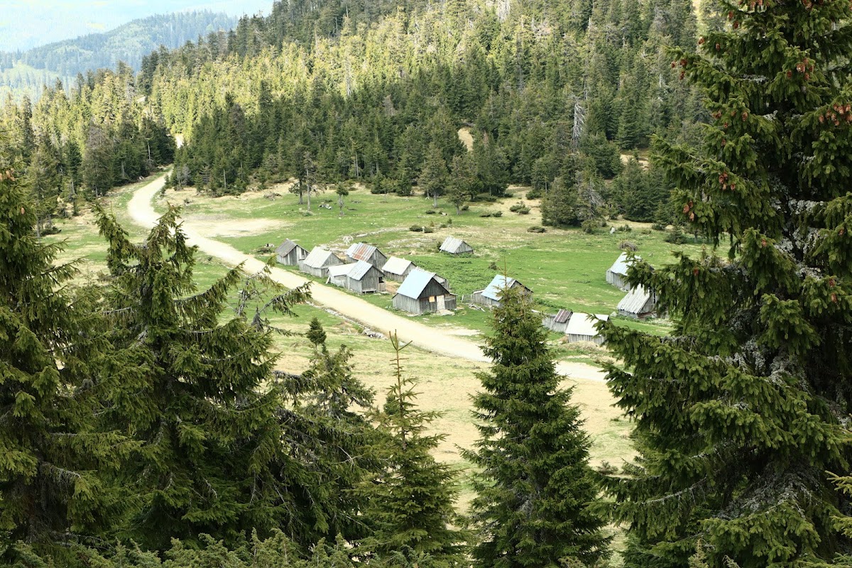 Foto von Valea Cepelor