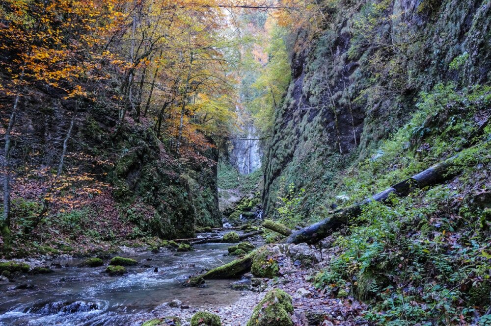 Foto von Valea Boghii