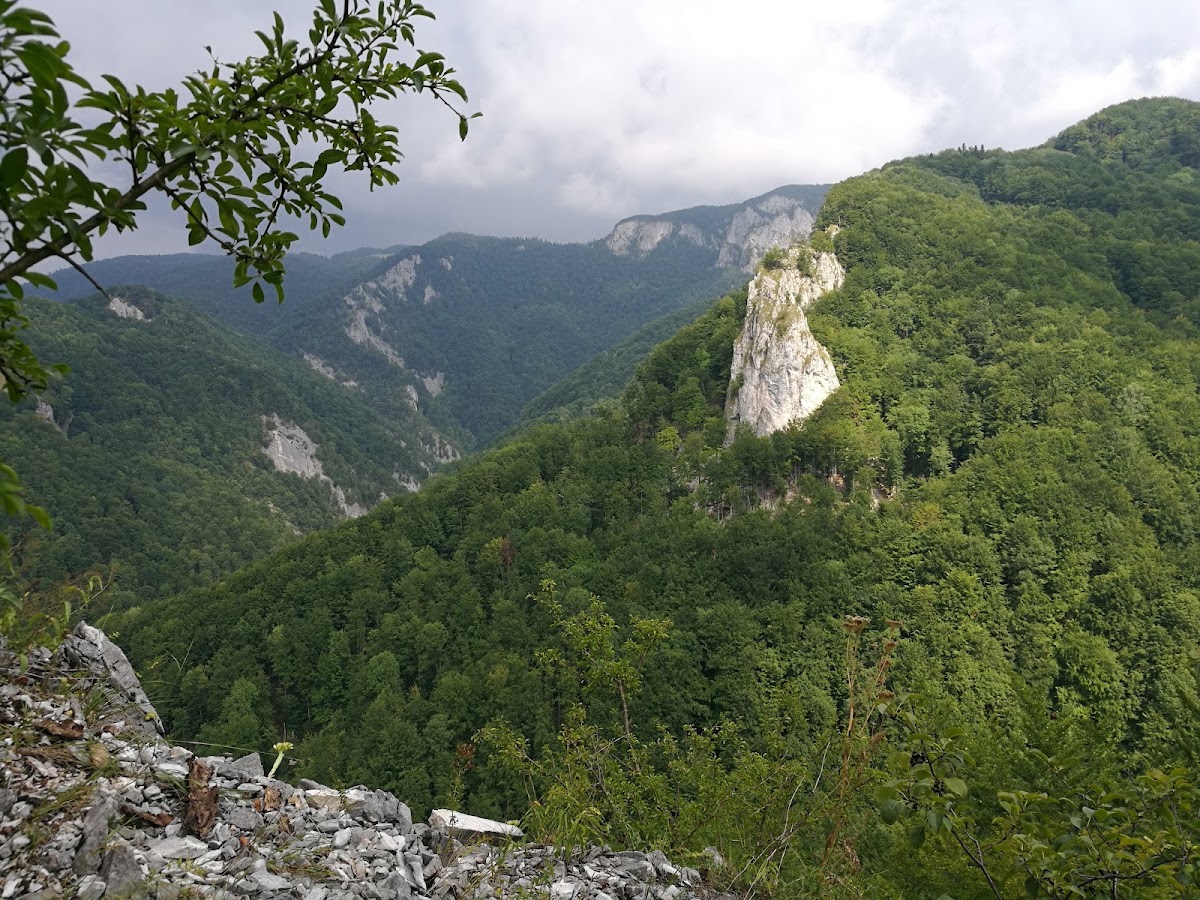 Foto von Valea Boghii
