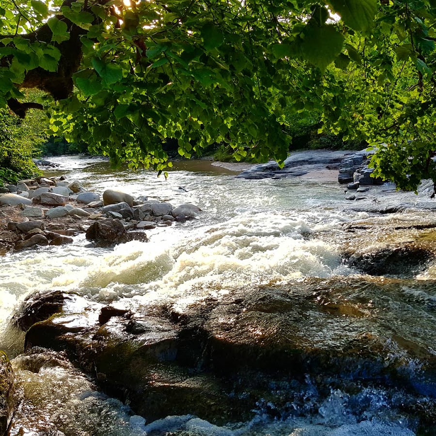 Foto von Valea Boghii