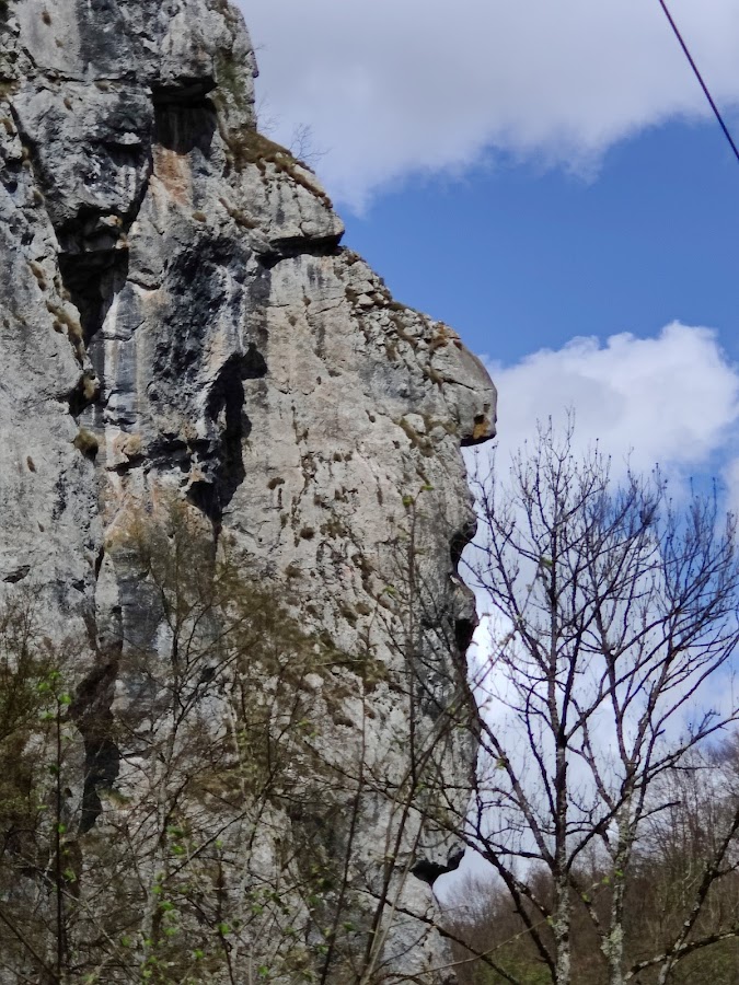Foto di Piatra Bulzului