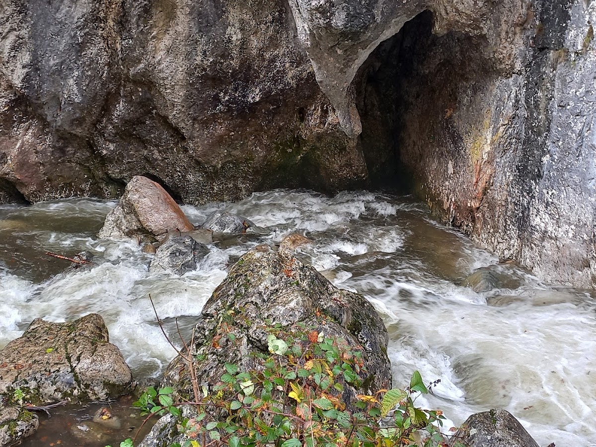 Foto di Piatra Bulzului