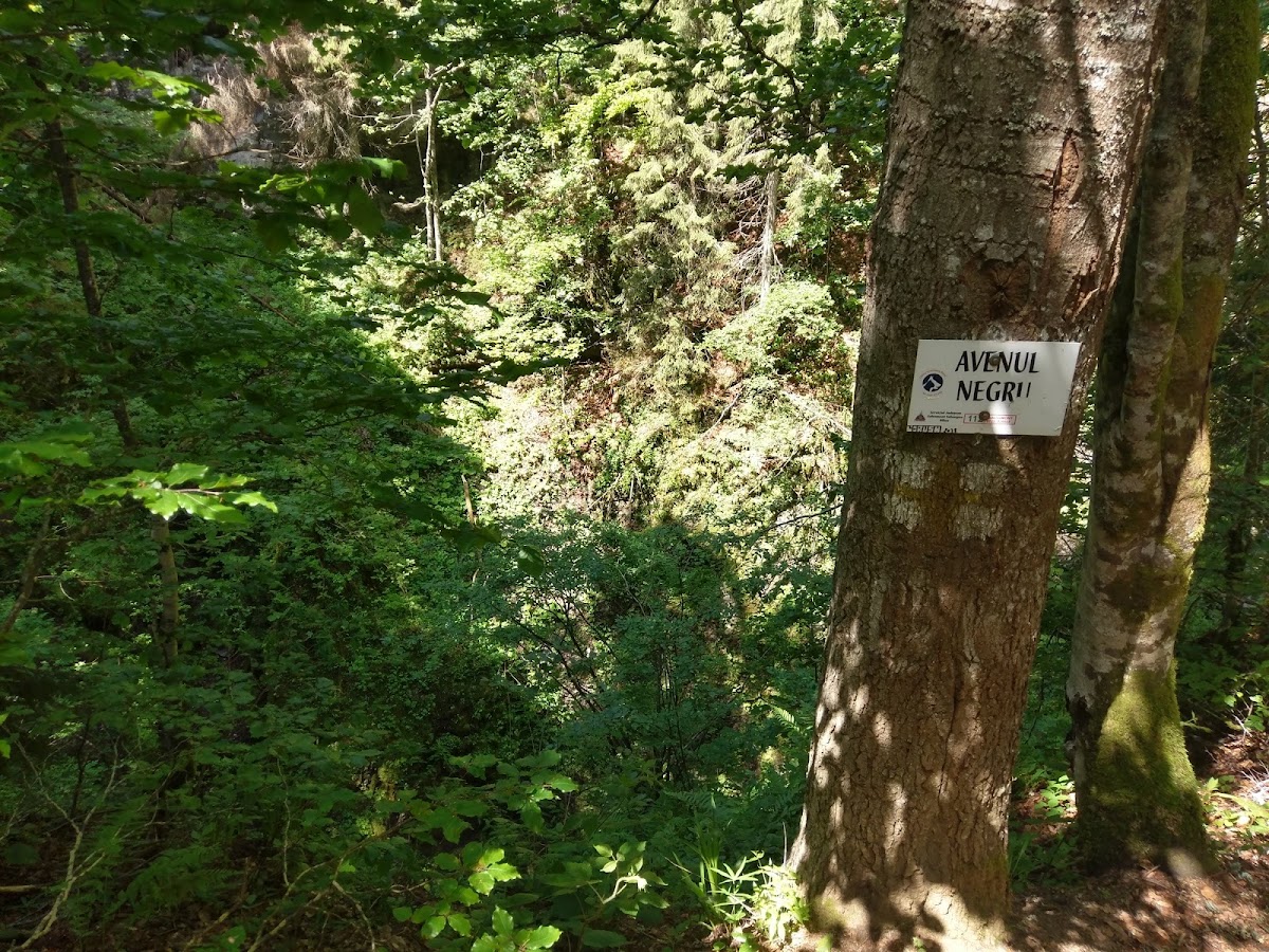 Photo of Platoul Carstic Lumea Pierdută
