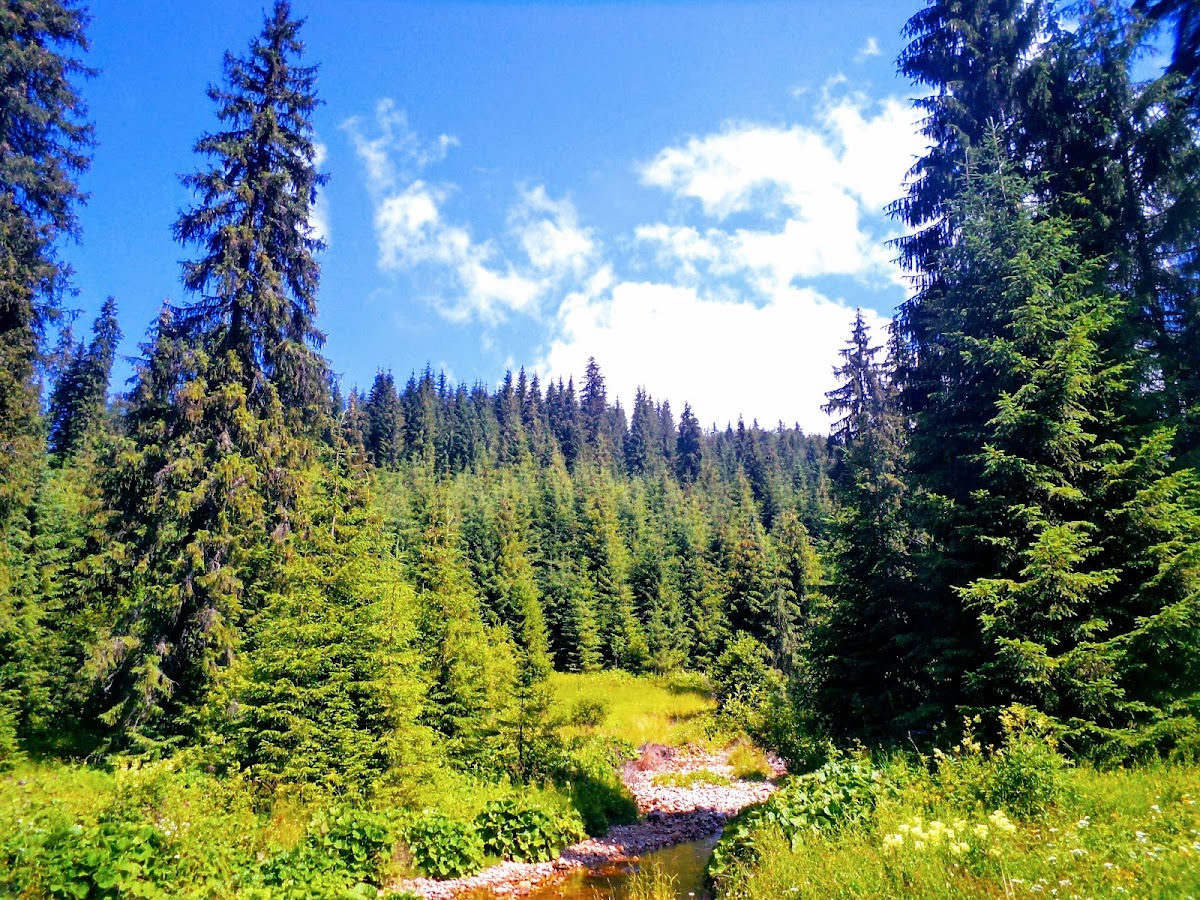 Photo of Platoul Carstic Lumea Pierdută