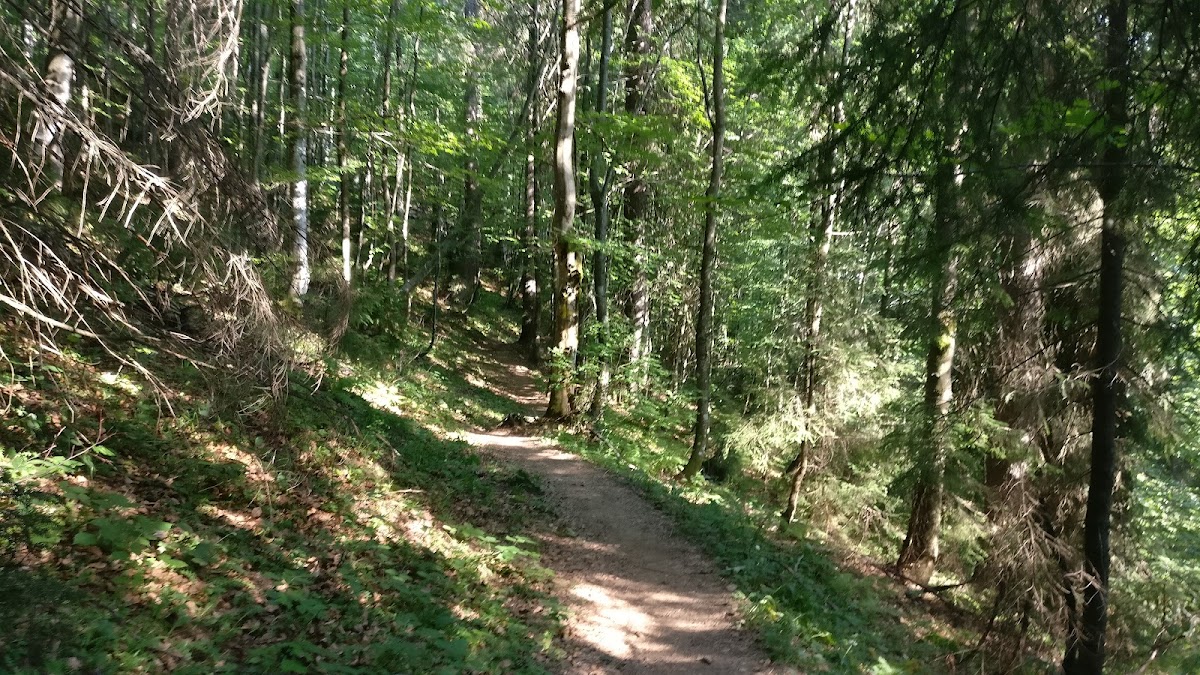 Photo of Platoul Carstic Lumea Pierdută