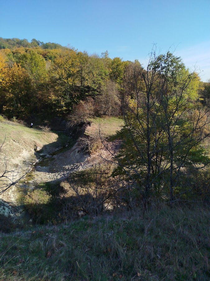 Photo of Calcarele tortoniene de la Tăşad